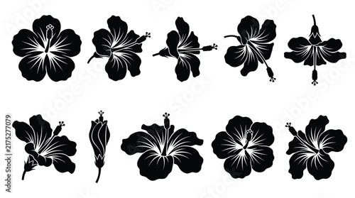 Set of black hibiscus flower silhouettes for tropical themed graphic design elements