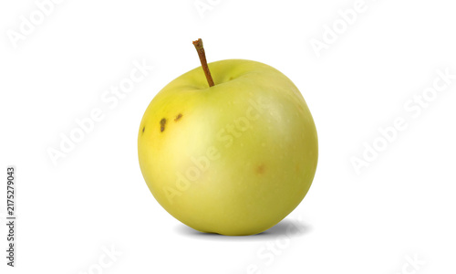 one green apple