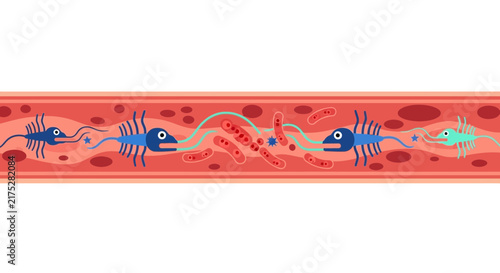 Vector Illustration of Pathogens, Bacteria, and Immune Cells in a Bloodstream Vessel