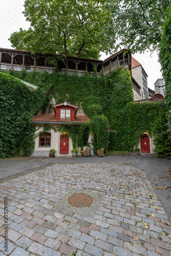 Cozy courtyard with medieval wall and ivy in Tallinn Old Town, Estonia