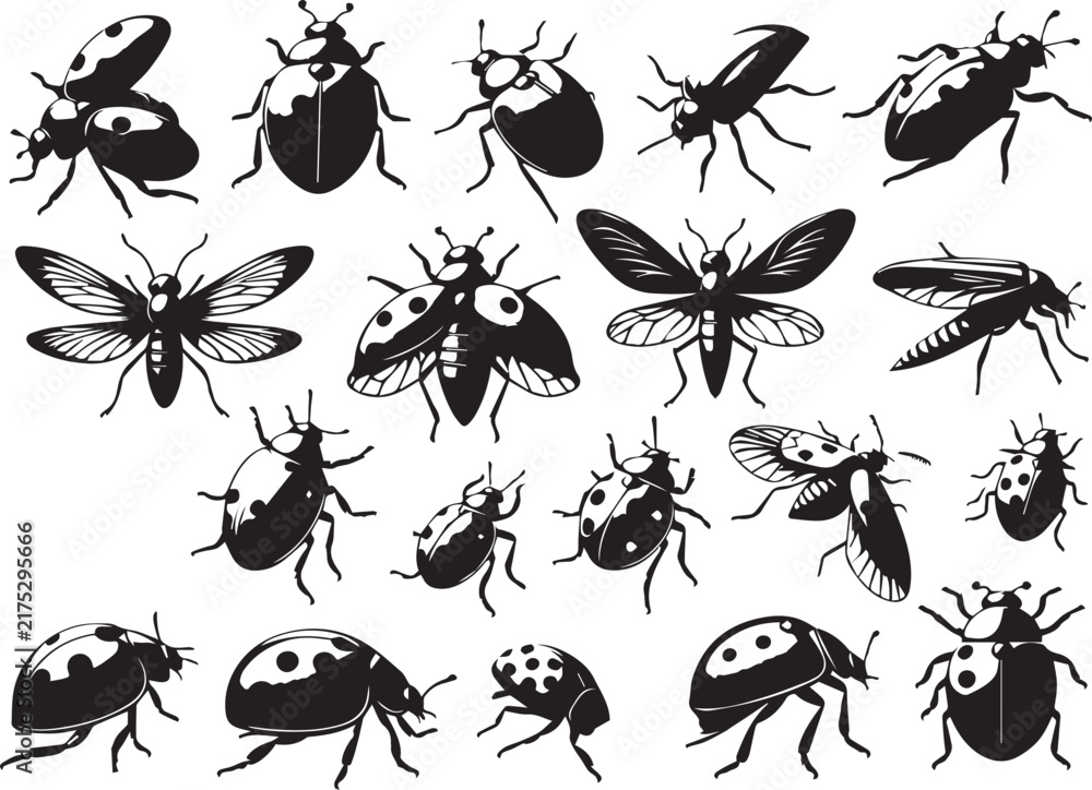 Fototapeta premium Simple Ladybug Silhouette Shape Isolated on White Background