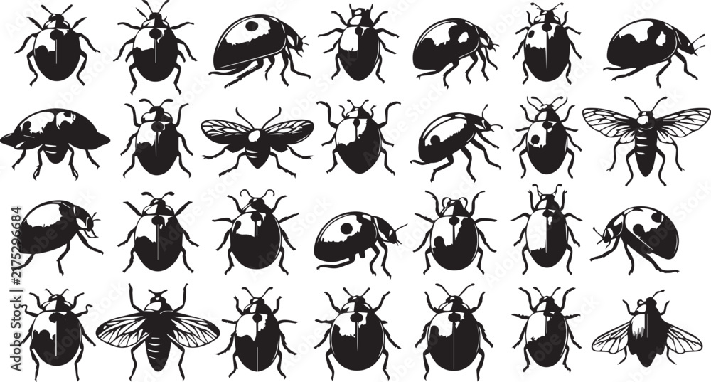 Fototapeta premium Simple Ladybug Silhouette Shape Isolated on White Background
