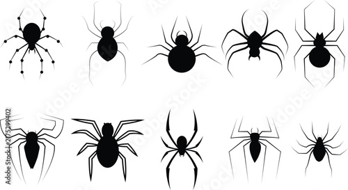 Fotografía set vector spider silhouettes icon