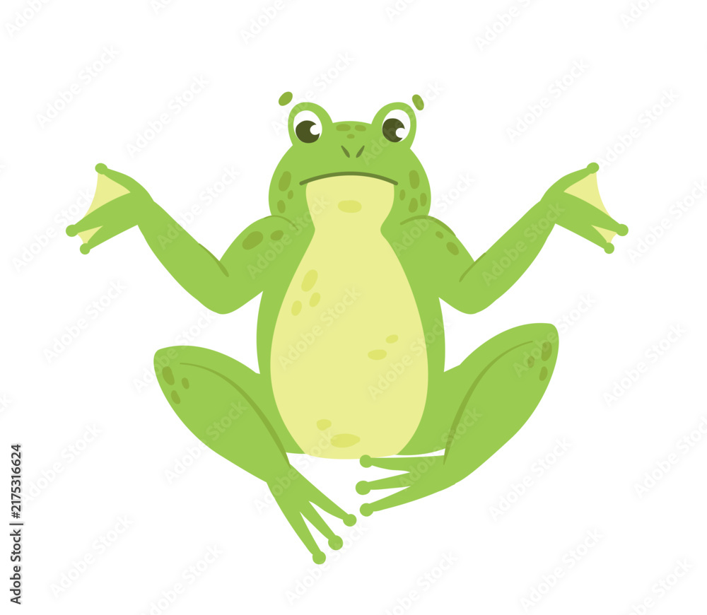 Fototapeta premium Confused cute green frog. Aquatic animal, lake water amphibian vector illustration