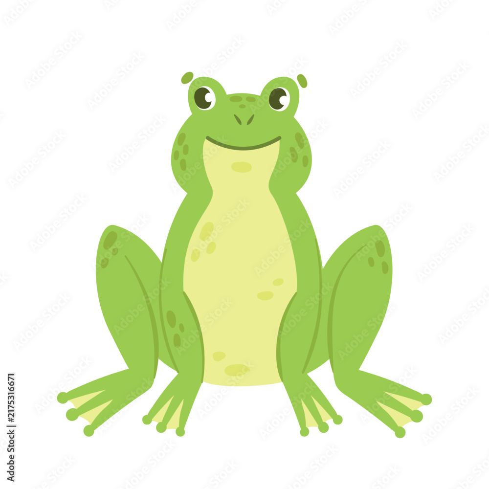 Naklejka premium Green frog in sitting pose. Wild aquatic fauna, water amphibian vector illustration