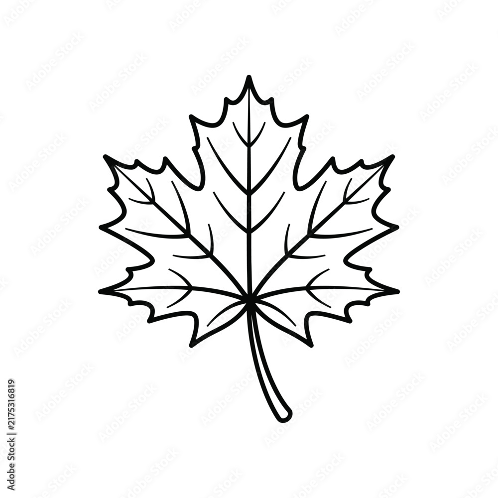Fototapeta premium Stylized Maple Leaf Outline Line Art Vector Icon Illustration Drawing
