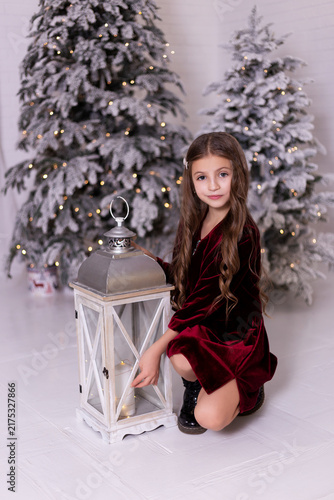 Lovely little girl posing with decorative lantern near snowy Christmas trees in white studio