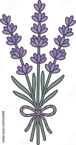 Minimalist illustration of a lavender bouquet featuring three purple flower stems tied with a string bow, isolated on a white background for herbal design and floral branding.