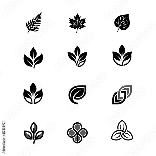 leaf symbols logo design collection set