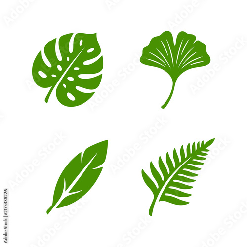 minimalist nature leaf icons