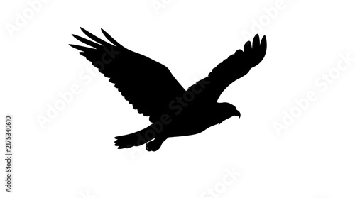 Soaring eagle with outstretched wings black silhouette