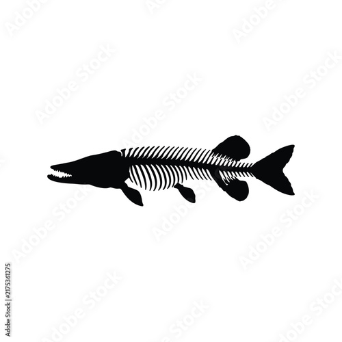 Pike fish skeleton silhouette icon vector flat design.