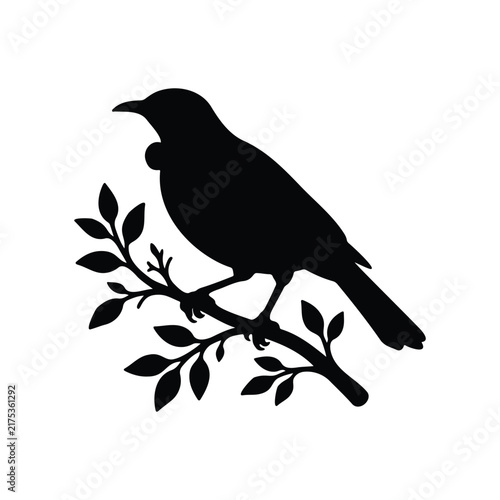 Tui bird silhouette icon vector flat design.