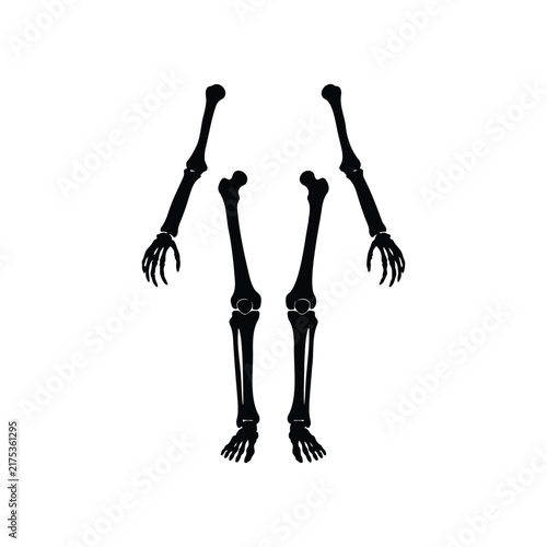 Skeleton limbs silhouette icon vector flat design.