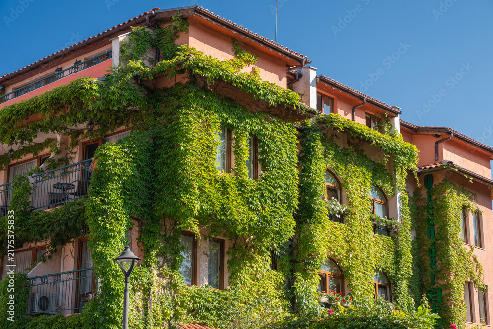 Obraz premium A multi-story hotel building with a peach-colored facade is heavily draped in lush green ivy and climbing plants under a clear blue sky.