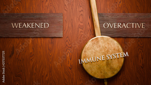 Bild auf Leinwand Immune system swings between weakened and overactive