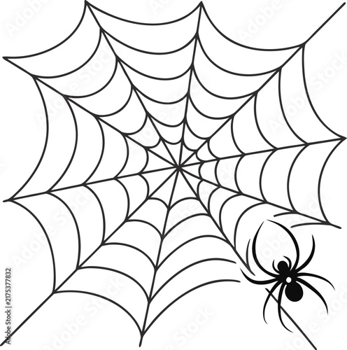 halloween spider web