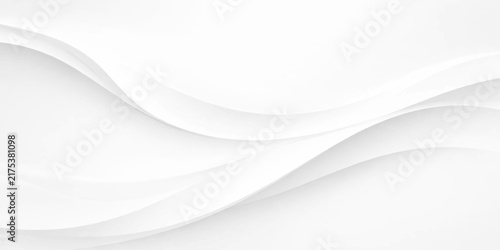 Minimalist white wave background with smooth layered 3d curves, soft shadows and elegant light gray flowing shapes, creating a clean modern paper texture backdrop.