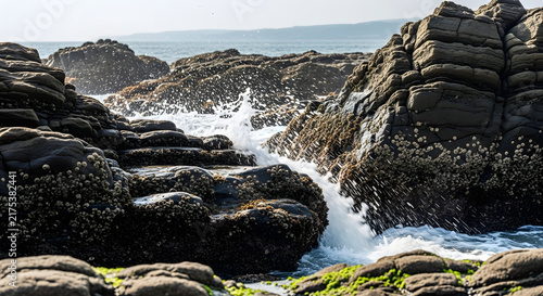Ocean waves crashing against rocks on a sunny day seaside landscape scene