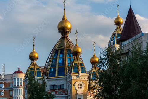 Foto church of the savior on spilled blood