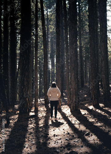 Teenage woman walking in the forest with tall pine trees. Healthy lifestyle in nature. Troodos Forest Cyprus