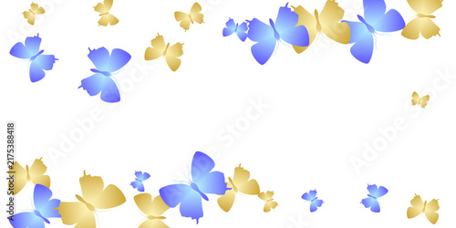 Fairy bright butterflies isolated vector background. Spring pretty insects. F...
