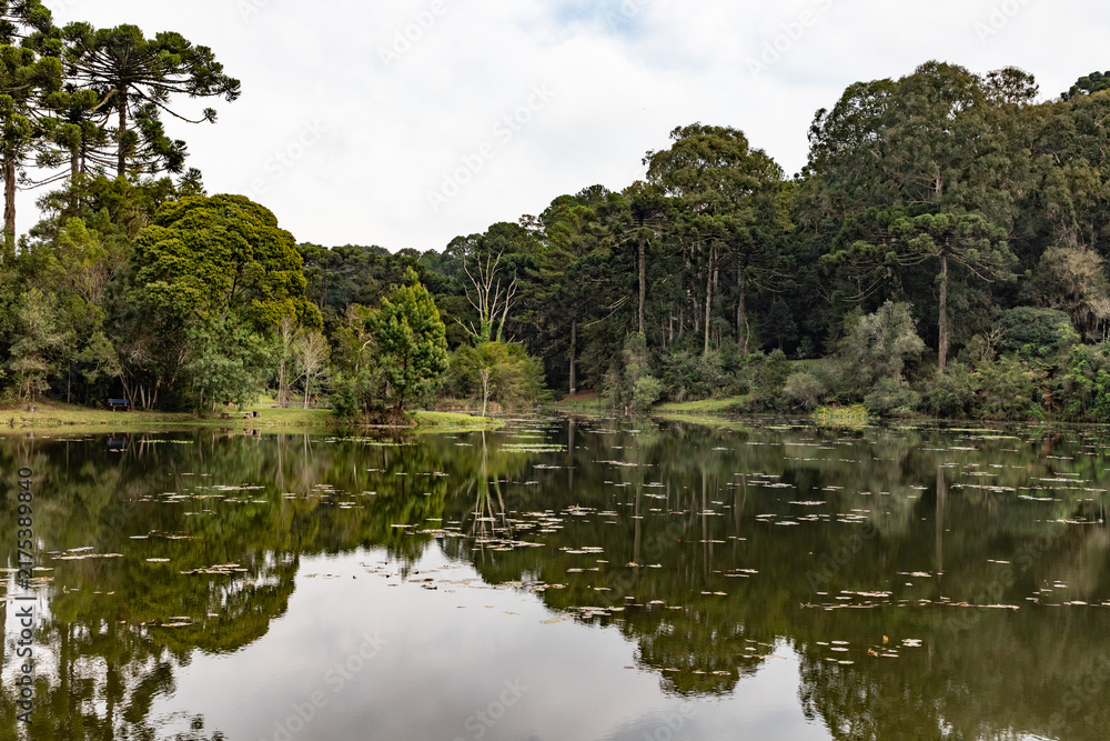 Fototapeta premium Lake in Canela, Rio Grande do Sul, Brazil – Araucaria Forest Landscape