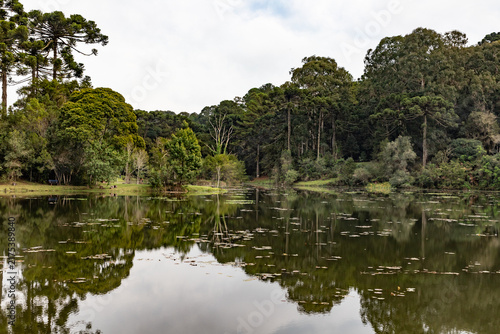 Lake in Canela, Rio Grande do Sul, Brazil – Araucaria Forest Landscape