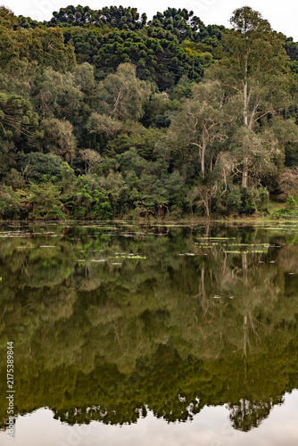 Lake in Canela, Rio Grande do Sul, Brazil – Araucaria Forest Landscape
