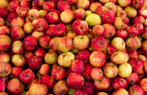 Many ripe red garden apples background