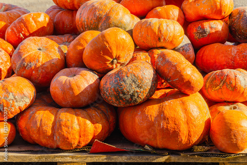 Mound of orange pumpkins at a countryside farmers market, autumn harvest display, seasonal fall scene.