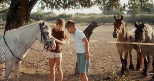 Brother and sister feed their white horse together on a family farm, showing care, responsibility and affection for animals in a rural countryside setting.
