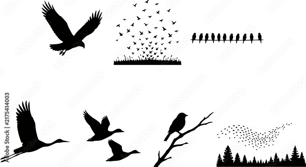 Naklejka premium Autumn Migrating Bird Flock Silhouette Vector Set — Geese, Eagle, Crane, Duck, Murmuration, Perched, Wire, Transparent