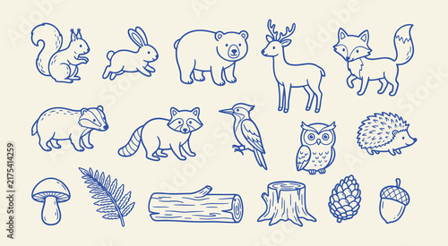 Set of cute forest animals and nature elements, woodland creatures, bear, deer, fox, rabbit, squirrel, raccoon, hedgehog, owl, bird, mushroom, fern, log, tree stump, pinecone, and acorn line art
