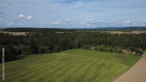 Aerial view flying above a green cornfield, showing rows of growing corn, agricultural land and rural countryside from a drone perspective under the open sky.