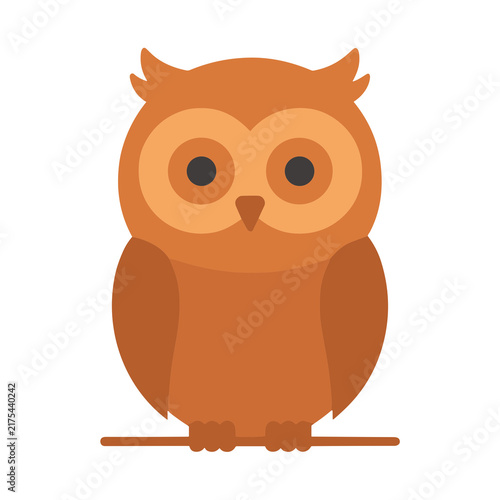 Cartoon Owl Illustration