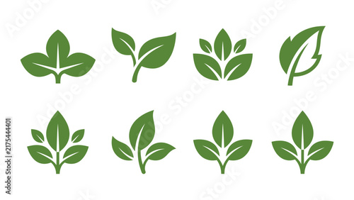 Green leaf representing nature organic growth isolated on plain white background leaves
