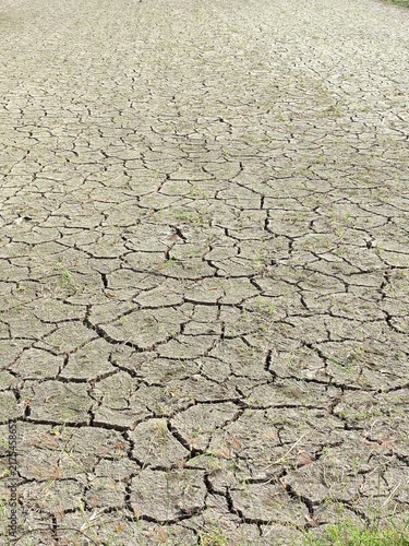 Konstfotografi dry cracked earth
