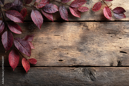 Dark red autumn leaves border on rustic wooden background