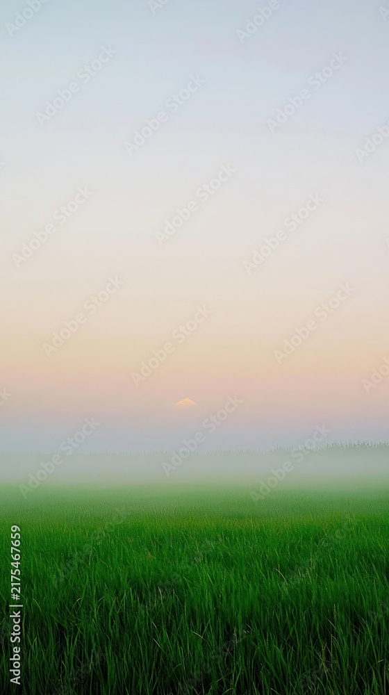 Naklejka premium Minimalist misty sunrise over green field, soft pastel mobile wallpaper
