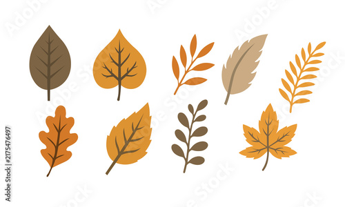 set of autumn leaves