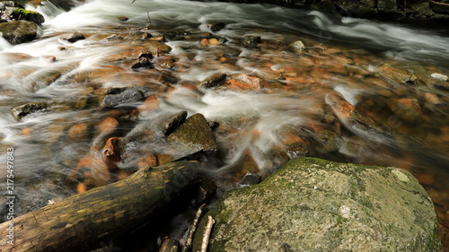 Wide angle scenic view of a rushing forest river stream flowing over rocks