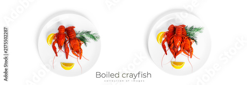 Canvastavla Boiled crayfish with dill and lemon isolated on a white background