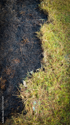 Fotografía Contrast Between Green Grass and Scorched Burnt Ash Ground Texture Background