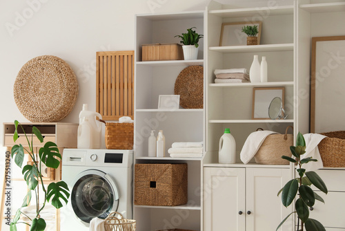 Interior of laundry room with closet, washing machine and plants