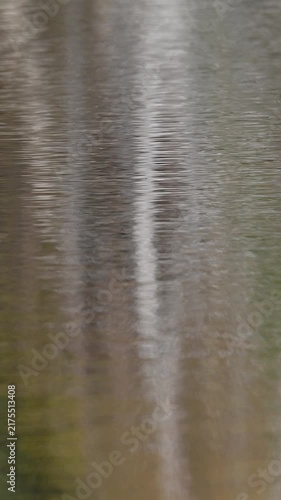 Trees reflecting in lake with small waves distorting the reflection
