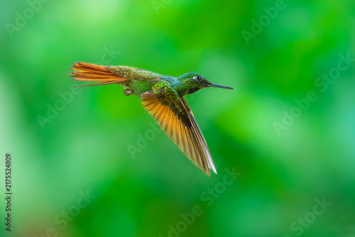 Foto MasterClass photo