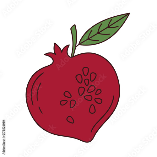 Pomegranate with leaf