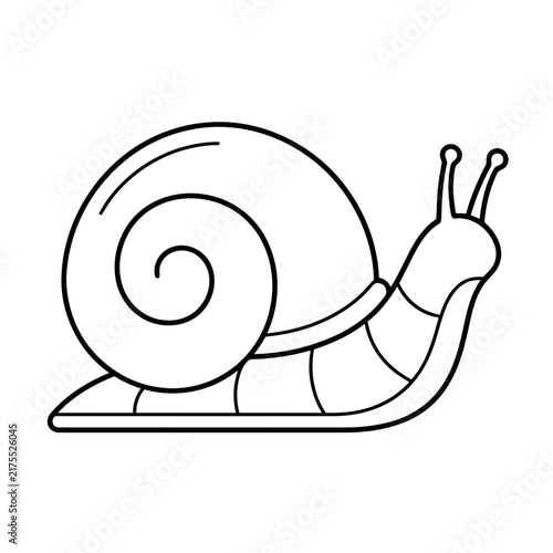 Simple line drawing of a snail