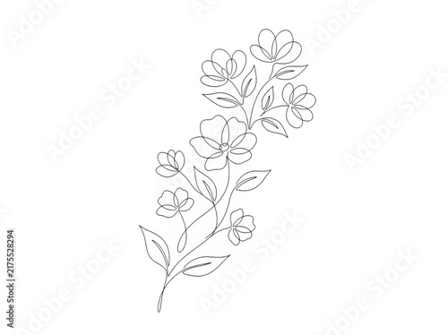 Minimalist single line drawing of wild flowers